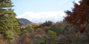 神戸市立森林植物園