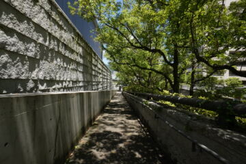 兵庫県立美術館の東側回廊スロープの写真素材