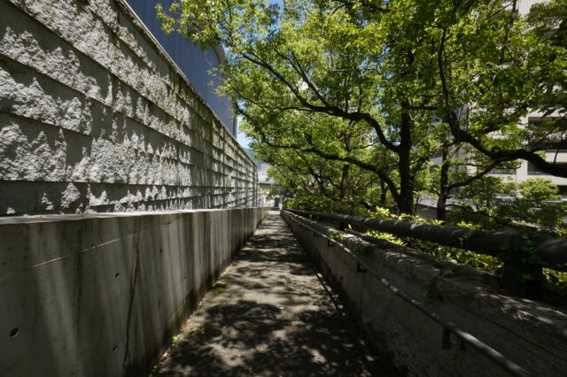 兵庫県立美術館の東側回廊スロープの写真素材