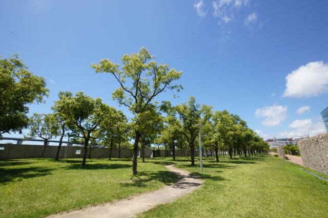 なぎさ公園東側芝生の写真素材