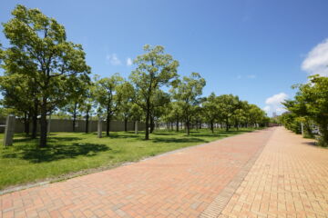 なぎさ公園北側歩道の写真素材