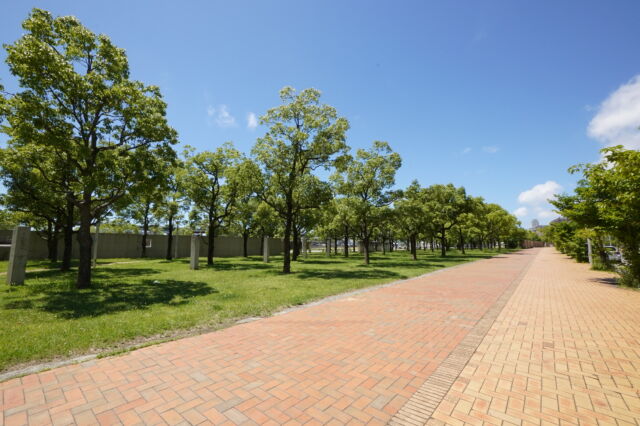 なぎさ公園北側歩道の写真素材