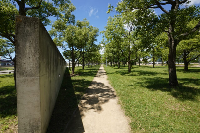 なぎさ公園東側芝生3の写真素材