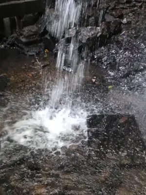テスト